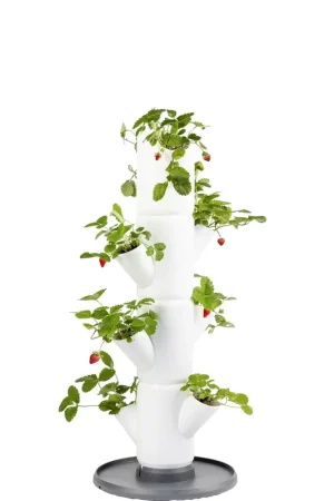 GUSTA GARDEN SISSI STRAWBERRY Aardbeientoren Starter, Wit - Eenvoudig retourneren