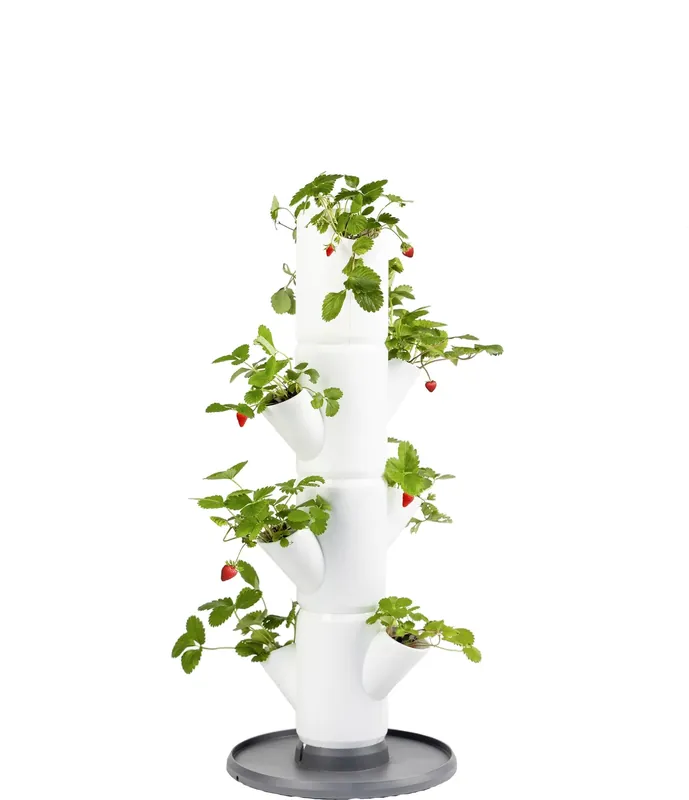 GUSTA GARDEN SISSI STRAWBERRY Aardbeientoren Starter, Wit - Eenvoudig retourneren