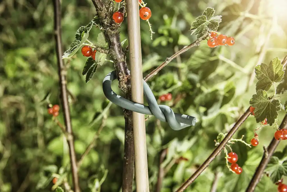 Windhager Tuindraad met Rubberen Coating | Net toegevoegd
