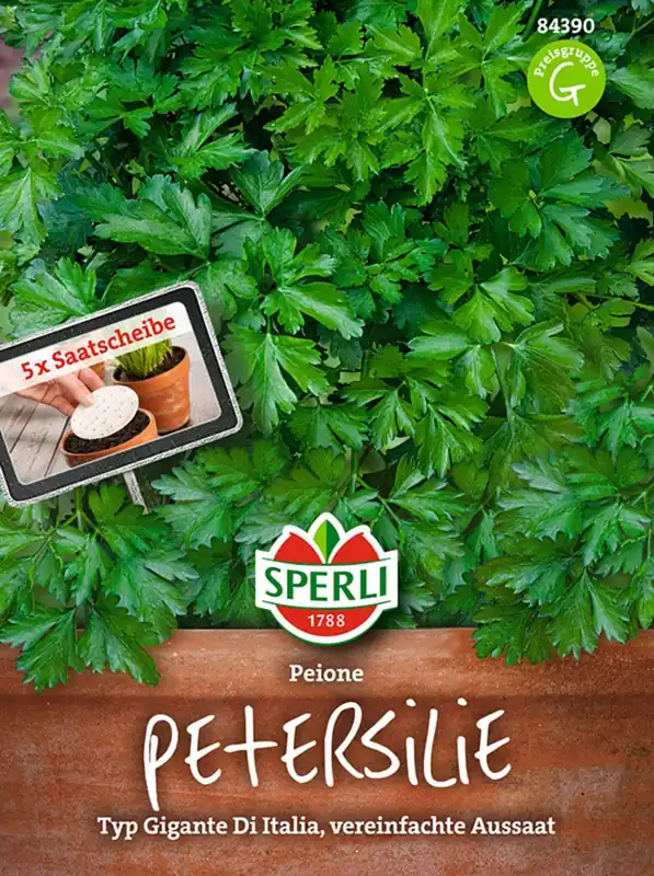 Sperli Petersilie ,,Peione‘‘ | Nog enkele stuks