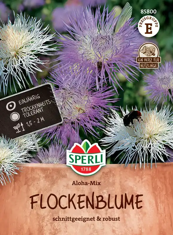 Sperli Korenbloem | Aanrader