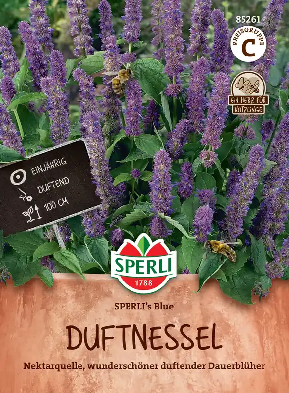 Sperli Geurende Netel "Blue" - Snelle verzending