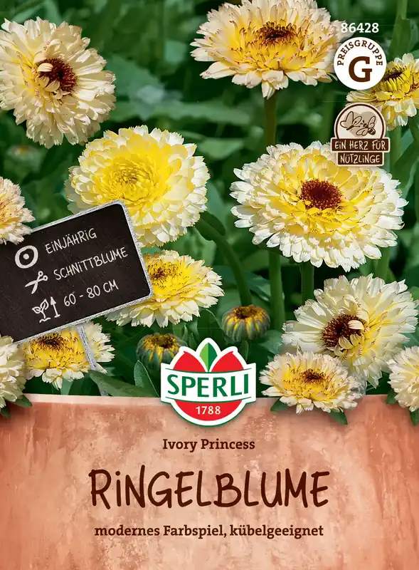 Sperli Goudsbloem "Ivory Princess‘‘ | Actieprijs