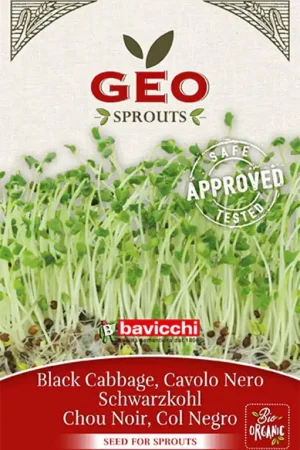 Bavicchi Zwarte Kool, 6 g | Makkelijk bestellen