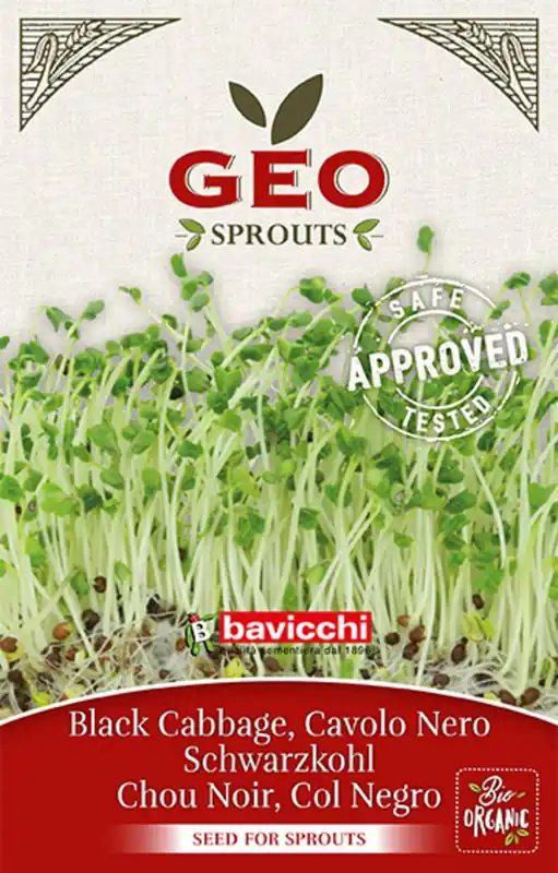 Bavicchi Zwarte Kool, 6 g | Makkelijk bestellen