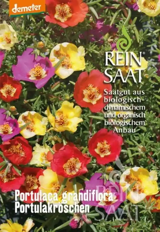 Nieuw | ReinSaat Portulakroosje ‘‘Portulaca Grandiflora‘‘