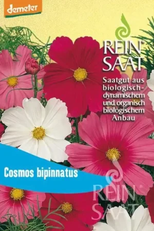 ReinSaat Cosmea Mix | Veel gevraagd