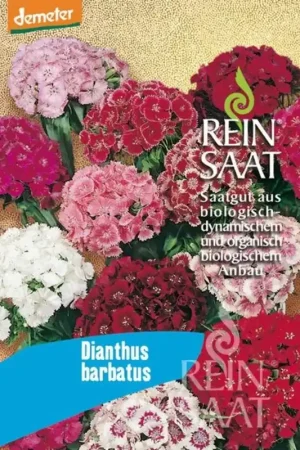 Actie - ReinSaat Baardanjer ‘‘Dianthus Barbatus‘‘