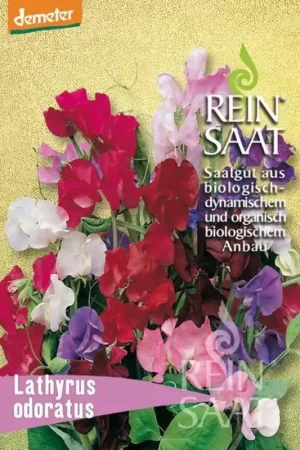 Prijs verlaagd | ReinSaat Reukerwt ‘‘Lathyrus odoratus‘‘