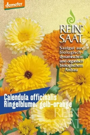 ReinSaat Goudsbloem - Calendula officinalis | Topdeal
