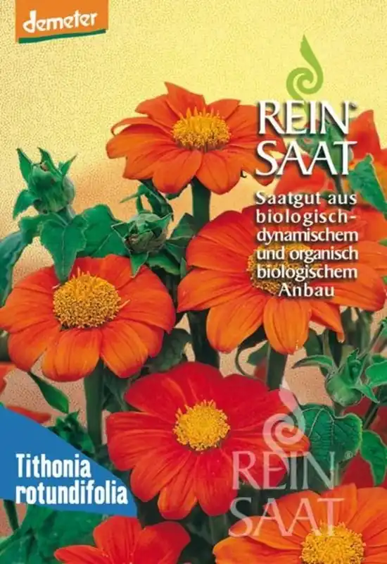 ReinSaat Mexicaanse Zonnebloem | Bestel vandaag