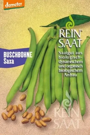 Zeer goed beoordeeld - ReinSaat Struikboon ‘‘Saxa‘‘