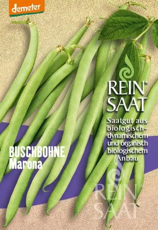 Slechts tijdelijk | ReinSaat Struikboon ‘‘Marona‘‘