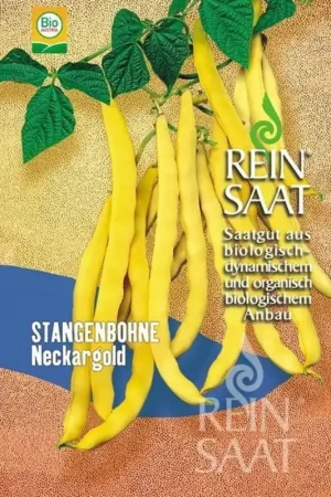 Nieuw gelanceerd - ReinSaat Snijboon ‘‘Neckargold‘‘