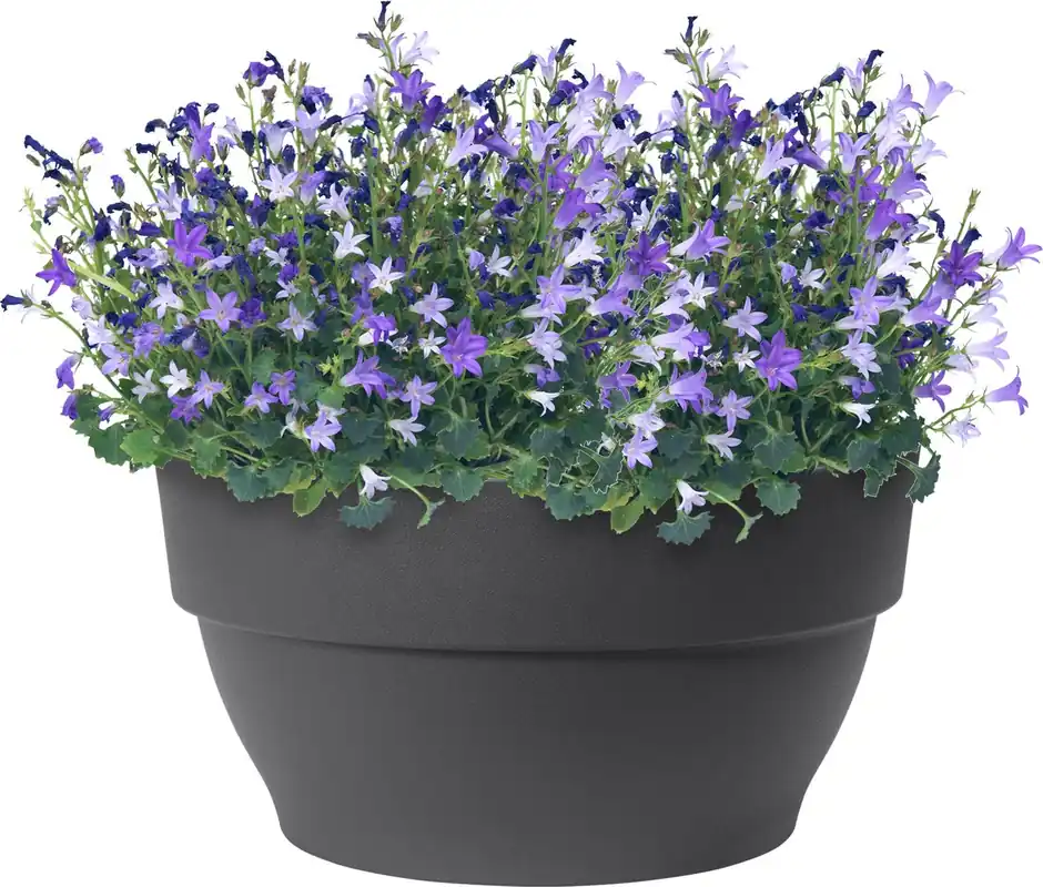 elho vibia campana schaal 27cm, pistachegroen | Veel gevraagd
