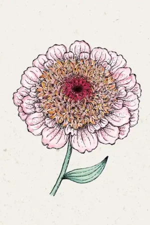 Snelle verzending - Jora Dahl Zinnia "Zinderella Lilac"