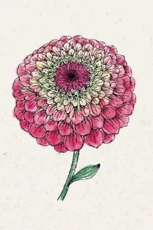 Actie - Jora Dahl Zinnia "Queen Red Lime"