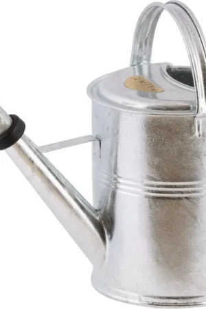 Plint Gieter 5 liter - Zink | Mis het niet