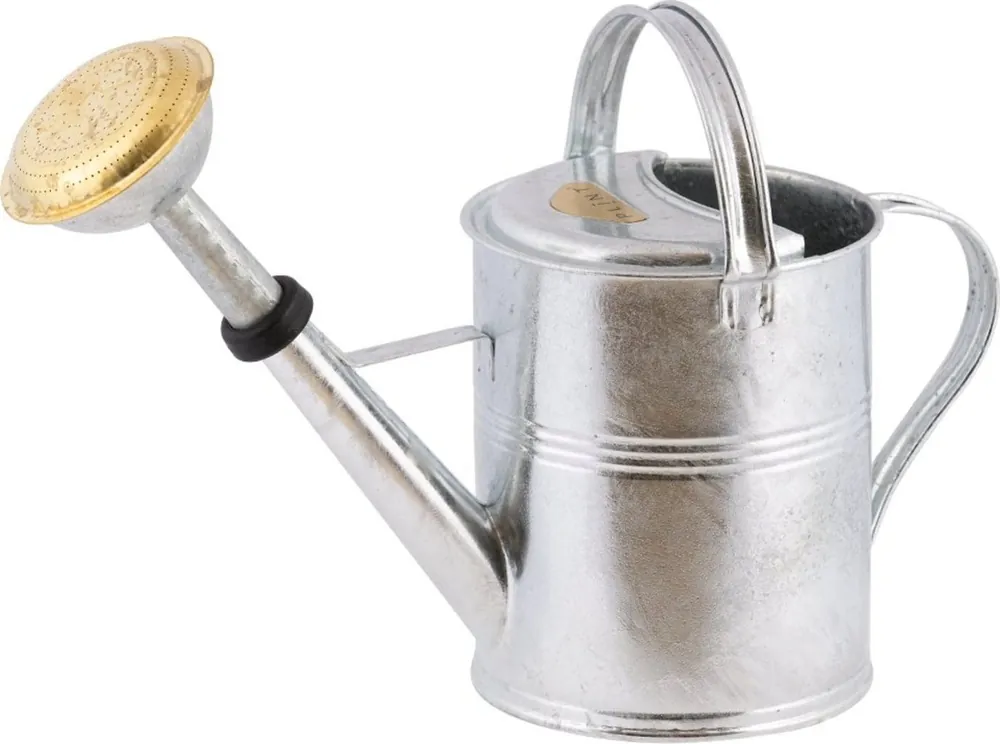 Plint Gieter 5 liter - Zink | Mis het niet
