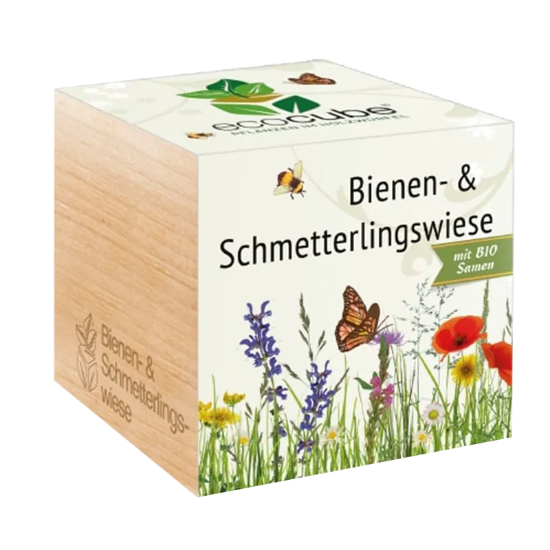 Topprijs - Feel Green ecocube Bijen- & Vlinderweide