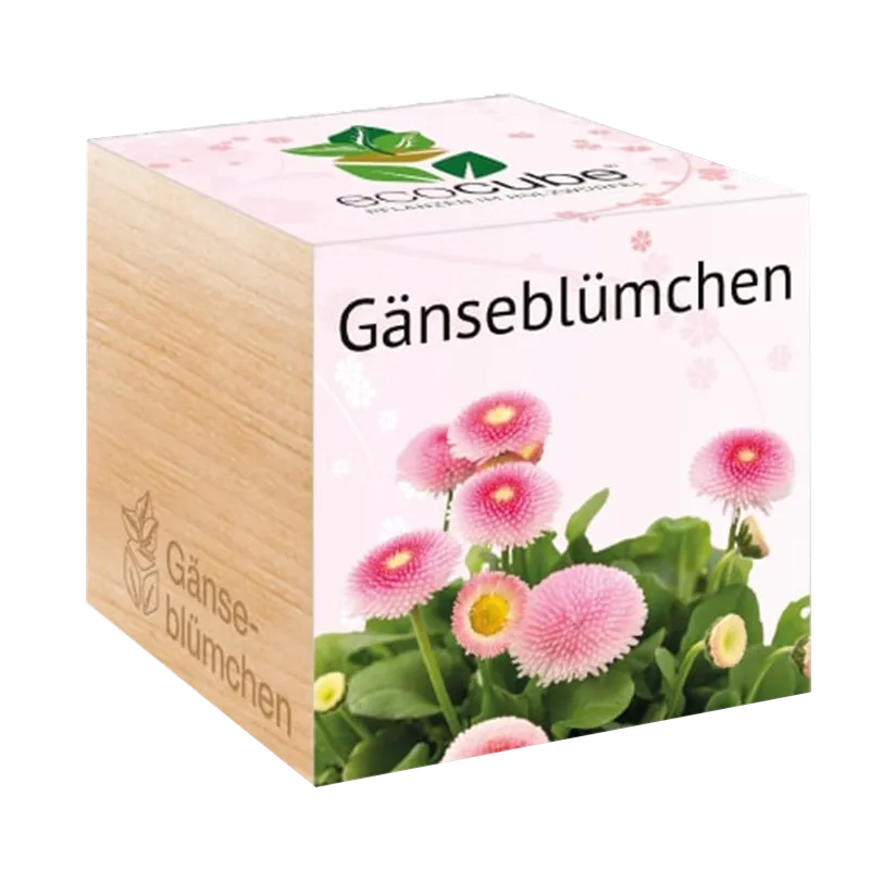 Feel Green ecocube Madeliefjes | Premium