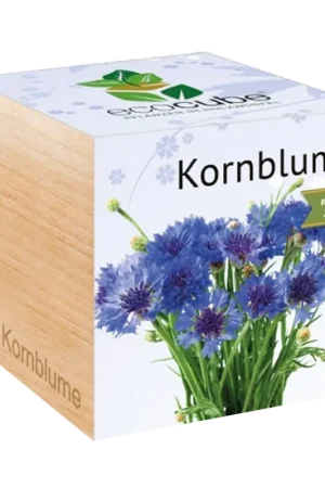 Direct beschikbaar | Feel Green ecocube Korenbloem