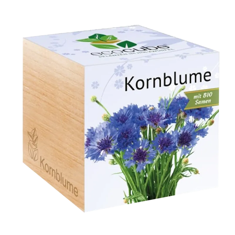 Direct beschikbaar | Feel Green ecocube Korenbloem