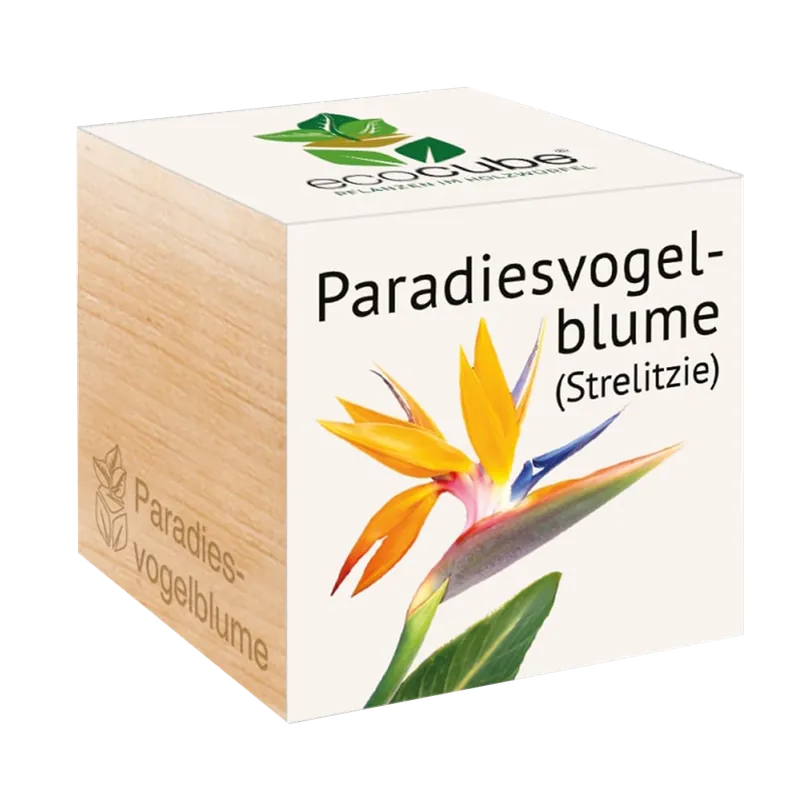 Feel Green ecocube Paradijsvogelbloem | Online bestellen