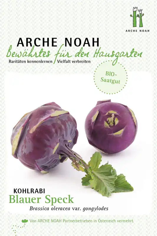 Arche Noah Biologische Koolrabi “Blauer Speck” - Populair bij klanten