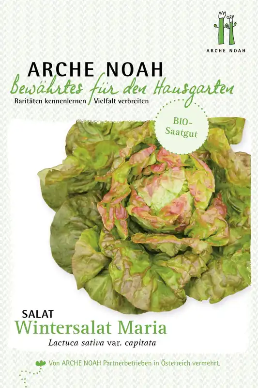 Voordelig | Arche Noah Biologische Sla "Wintermarie"