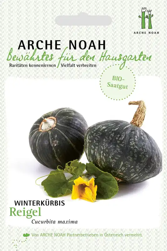 Arche Noah Biologische Winterpompoen "Reigel" - Nu beschikbaar