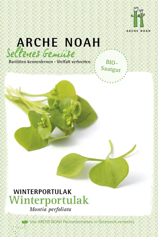 Fabrieksprijs - Arche Noah Biologische Winterpostelein/Portulaca