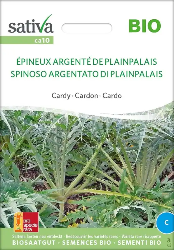 Sativa Bio-Cardy "Epineux argente de P.-Palais" | Favoriet van klanten