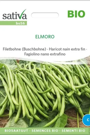 Beste prijs | Sativa Biologische Struikboon "Elmoro"
