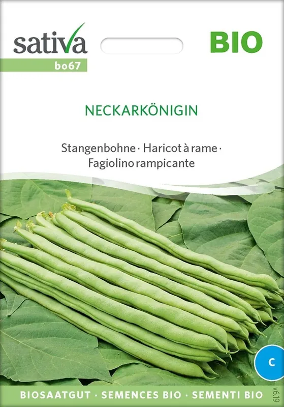 Sativa Biologische Snijboon "Neckarkönigin" - Speciale aanbieding