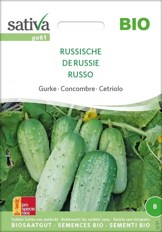 Mis het niet | Sativa Biologische Komkommer "Russisch"