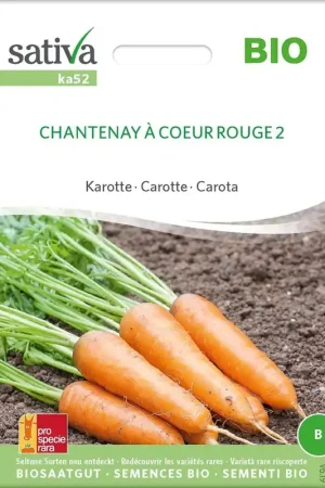 Voordelig - Sativa Biologische Wortel "Chantenay à Coeur Rouge 2"
