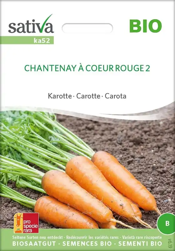 Voordelig - Sativa Biologische Wortel "Chantenay à Coeur Rouge 2"