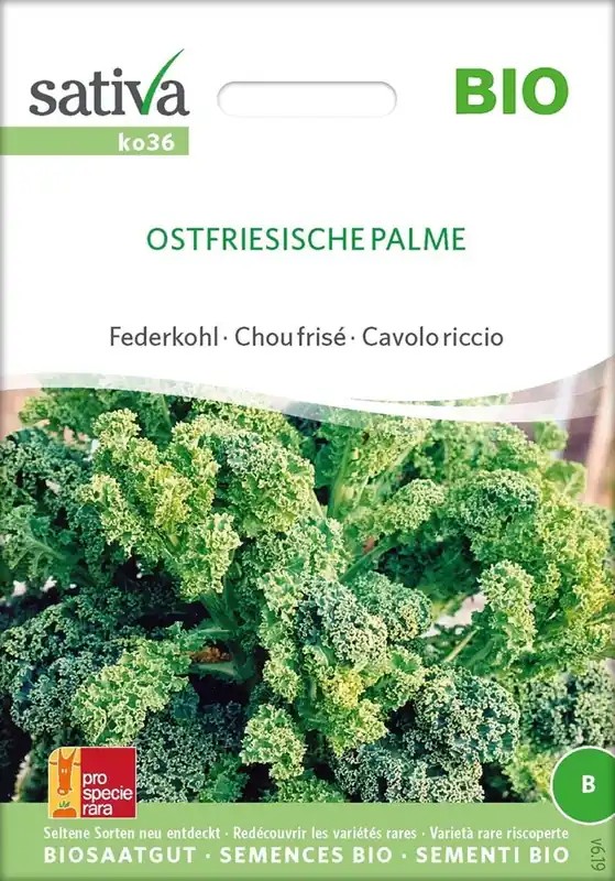 Uitverkoop - Sativa Biologische Boerenkool "Ostfriesische Palme"