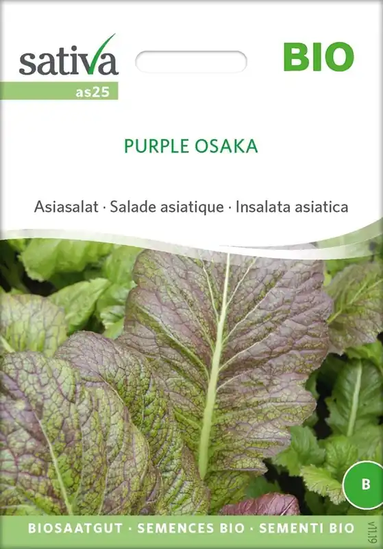 Sativa Biologische Aziatische Sla Purple Osaka - Direct van de fabrikant
