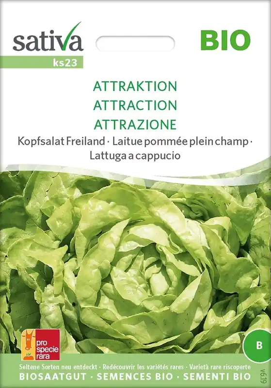 Online bestellen - Sativa Biologische Sla Volle Grond "Attraktion"
