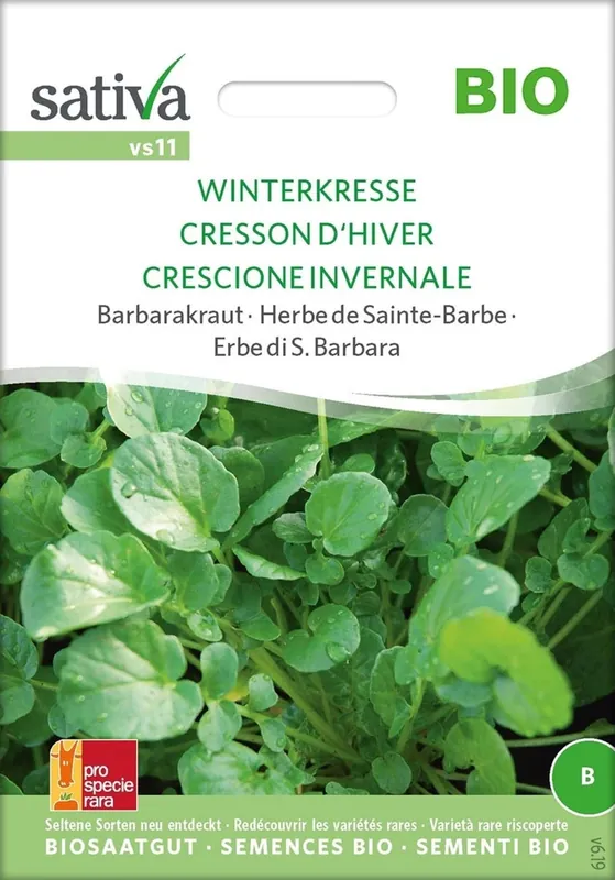 Sativa Biologisch Barbara Kruid Winter Tuinkers - Snelle levering