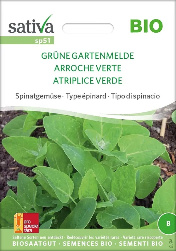 Aanbieding | Sativa Biologische Spinazie "Grüne Gartenmelde"