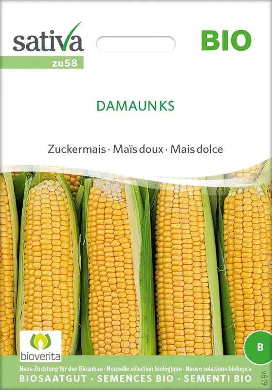 Klantfavoriet - Sativa Biologische Suikermaïs "Damaun KS"