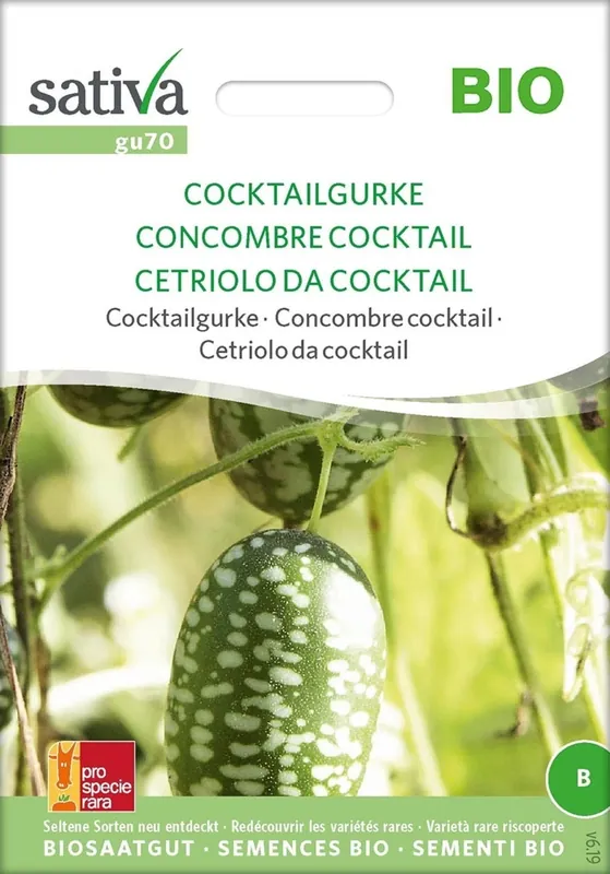 Sativa Biologische Melothria Scabra Cocktailkomkommer | Veilig betalen