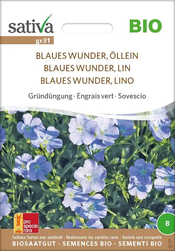 Sativa Biologische Groenbemester "Blauw Wonder, Vlas" | Gratis retourneren