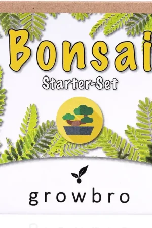 growbro Bonsai "Mimose" Kweekset | Laatste dagen