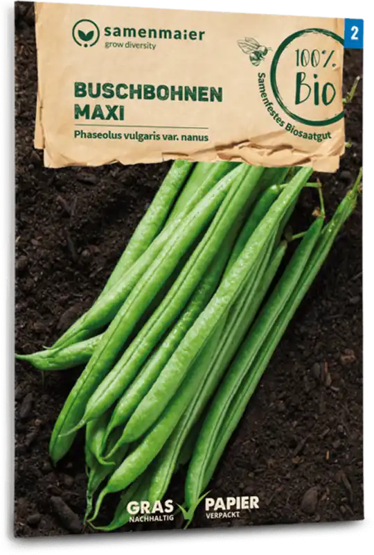 Online bestelbaar - Samen Maier Biologische Struikboon “Maxi”