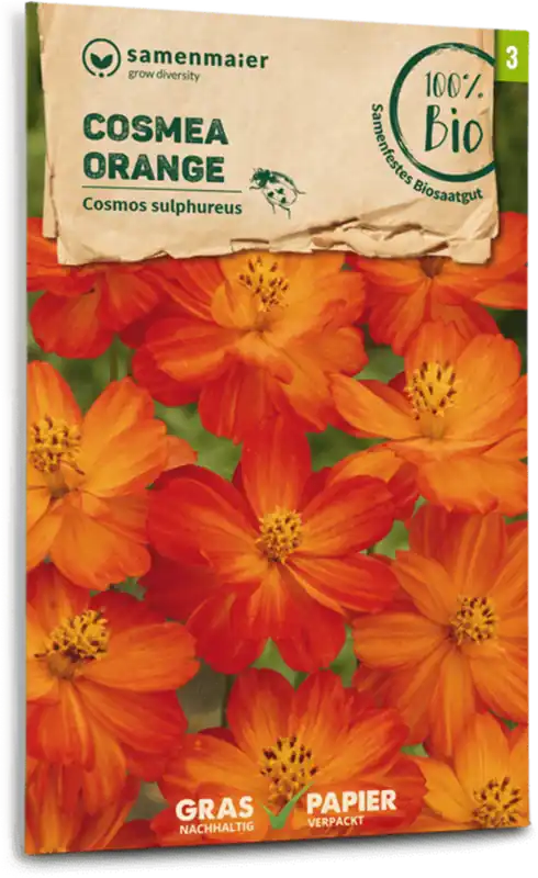 Samen Maier Biologische Oranje Cosmea - Voeg toe aan winkelwagen