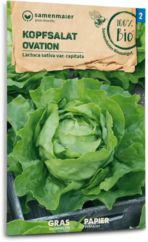 Samen Maier Biologische Kropsla "Ovation" - Topprijs